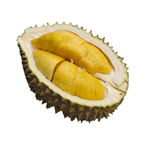 Black Gold Durian Icon