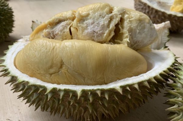 101-4 Durian