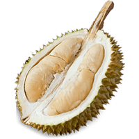 Fresh Red Prawn Durian Icon-min